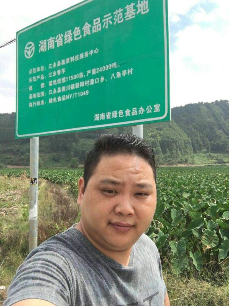 荔浦芋头槟榔芋江永香芋