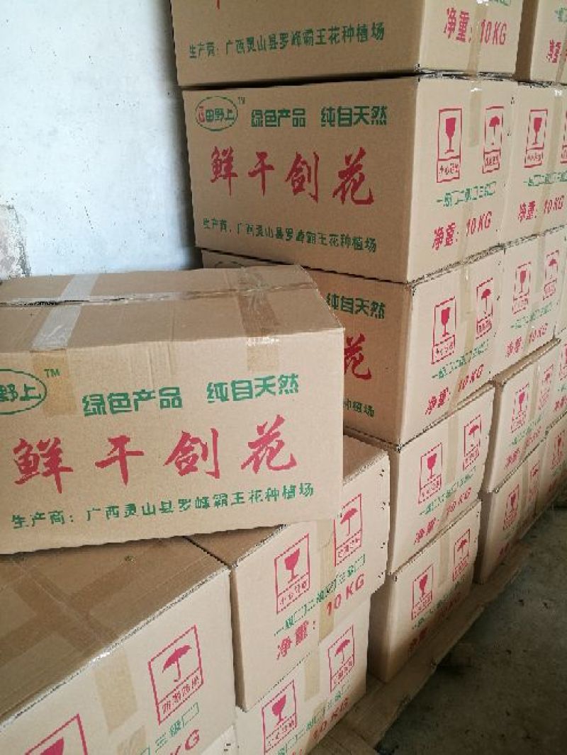 广西农家剑花(霸王花，新鲜干花)
