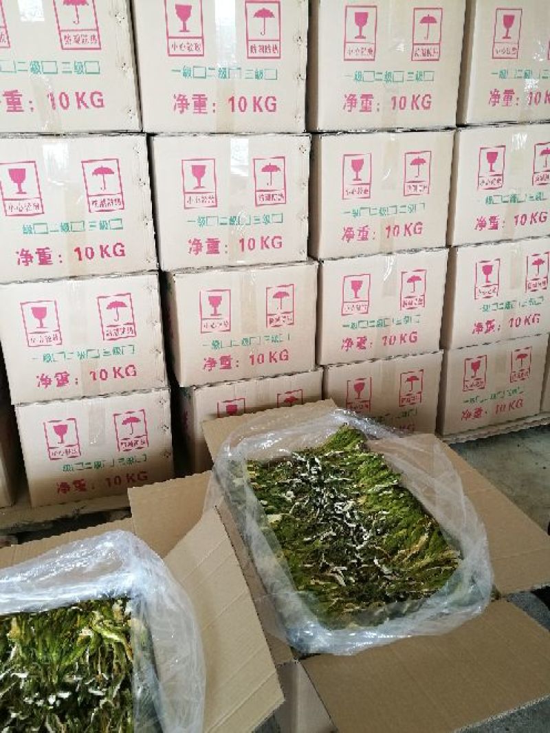 广西农家剑花(霸王花，新鲜干花)