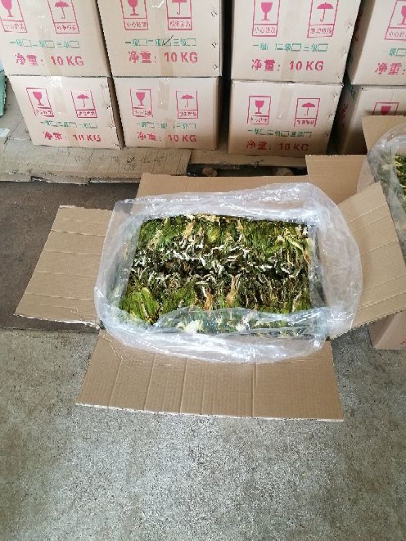 广西农家剑花(霸王花，新鲜干花)