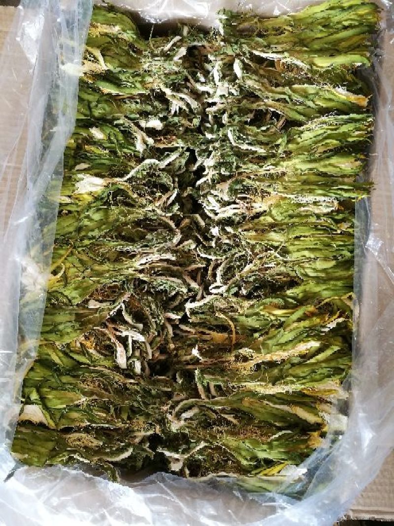 广西农家剑花(霸王花，新鲜干花)