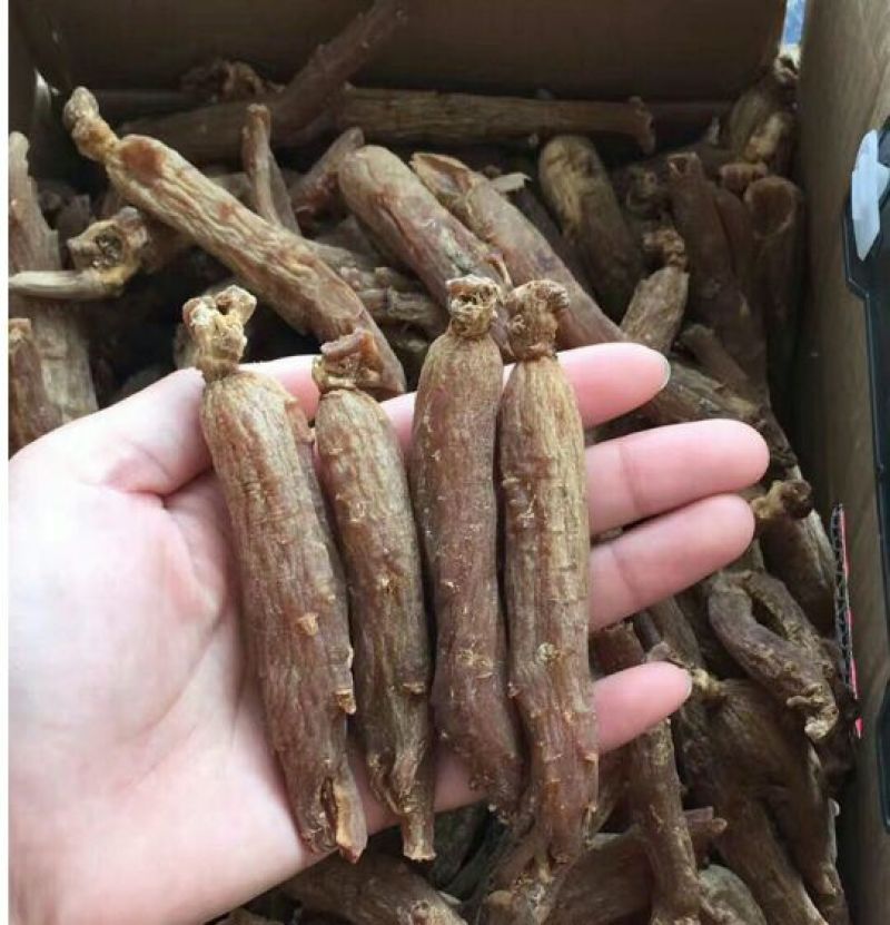 红参无糖红参光支