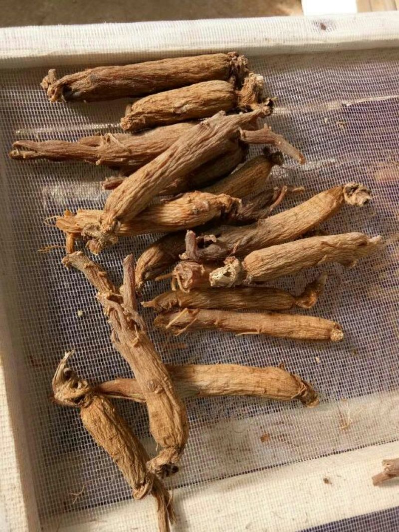 红参无糖红参光支