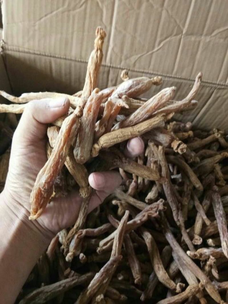 红参无糖红参光支