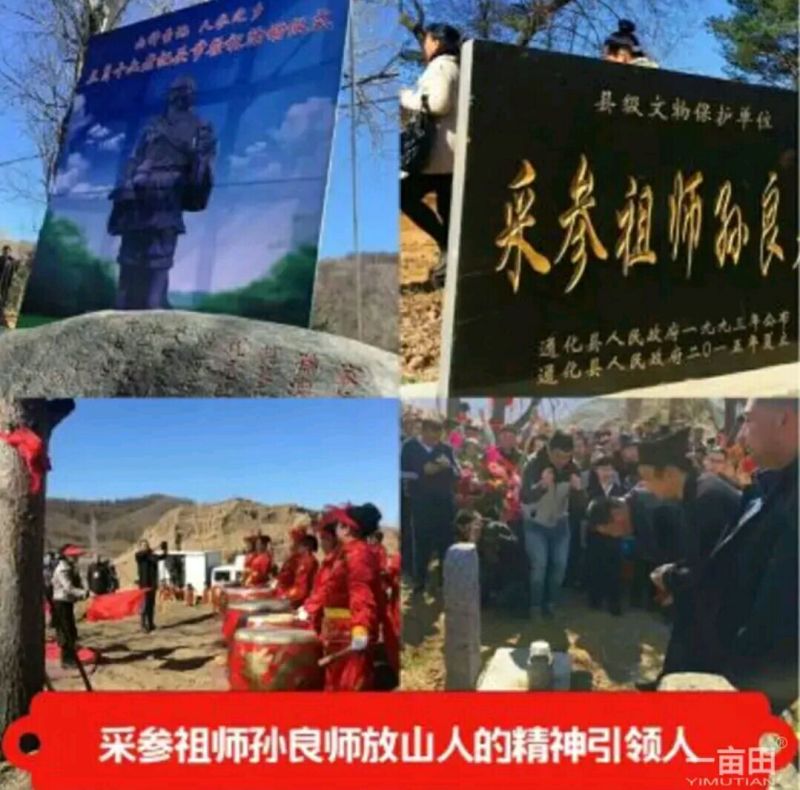 红参无糖红参光支