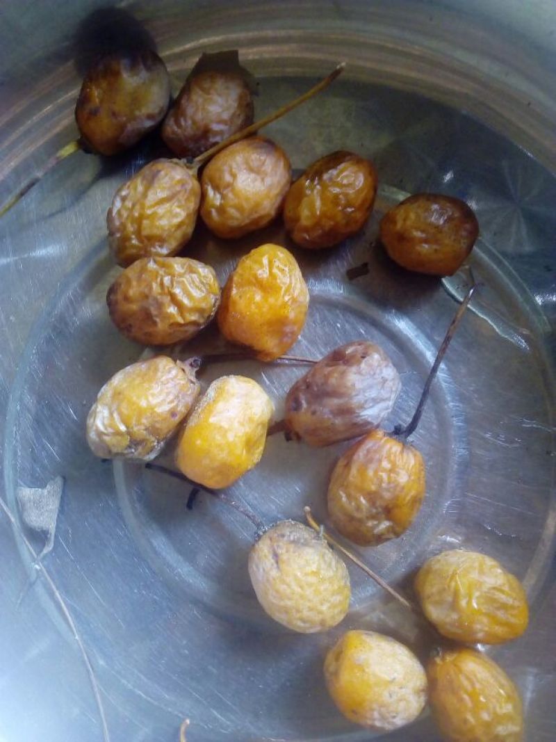 银杏果