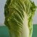 黄心菜白菜4~6斤净菜/白菜代办代发小赵