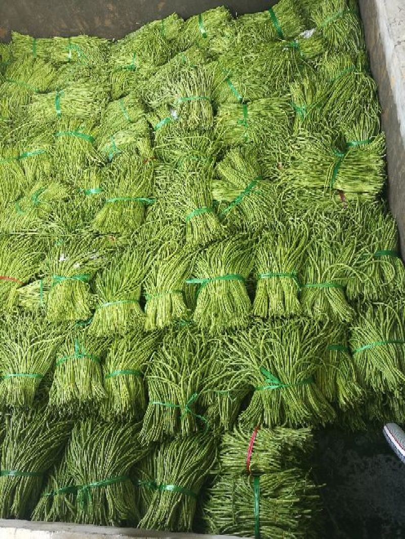 酸豆角
