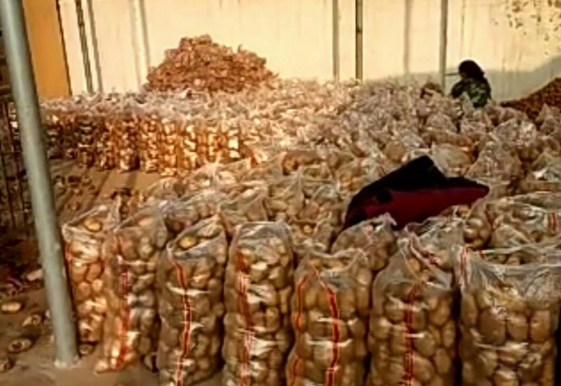 【牛商推荐】荷兰土豆产地直供专注精品各类包装全年有货