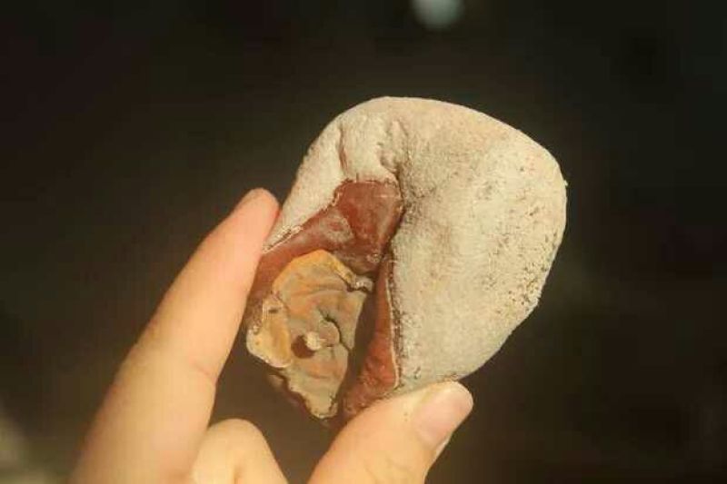 柿饼1~2两