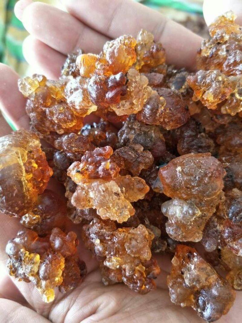 桃胶黄红胶一手货源