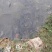 池鲤鱼2~3公斤食用
