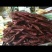 牛肉干黄牛肉鲜肉