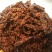 牛肉干黄牛肉鲜肉