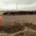 肉马200~300kg