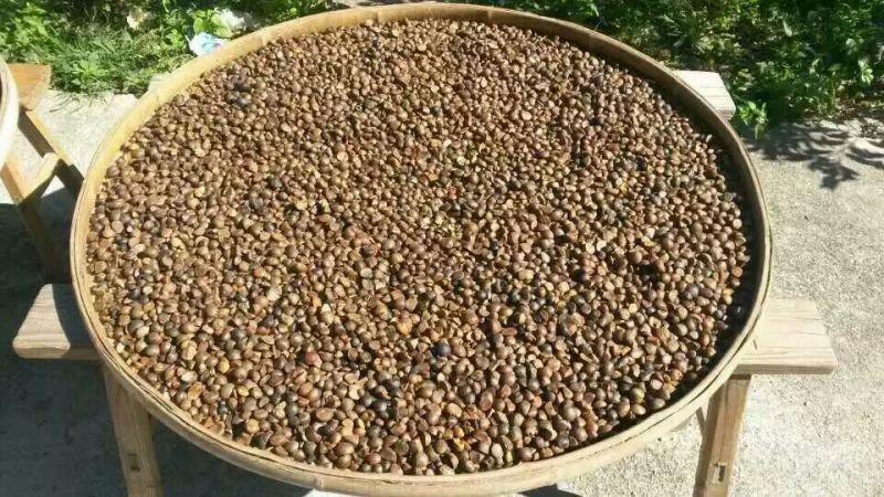 德化山茶油