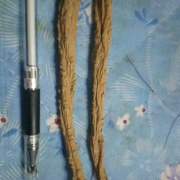 白条党参干货大条无硫化