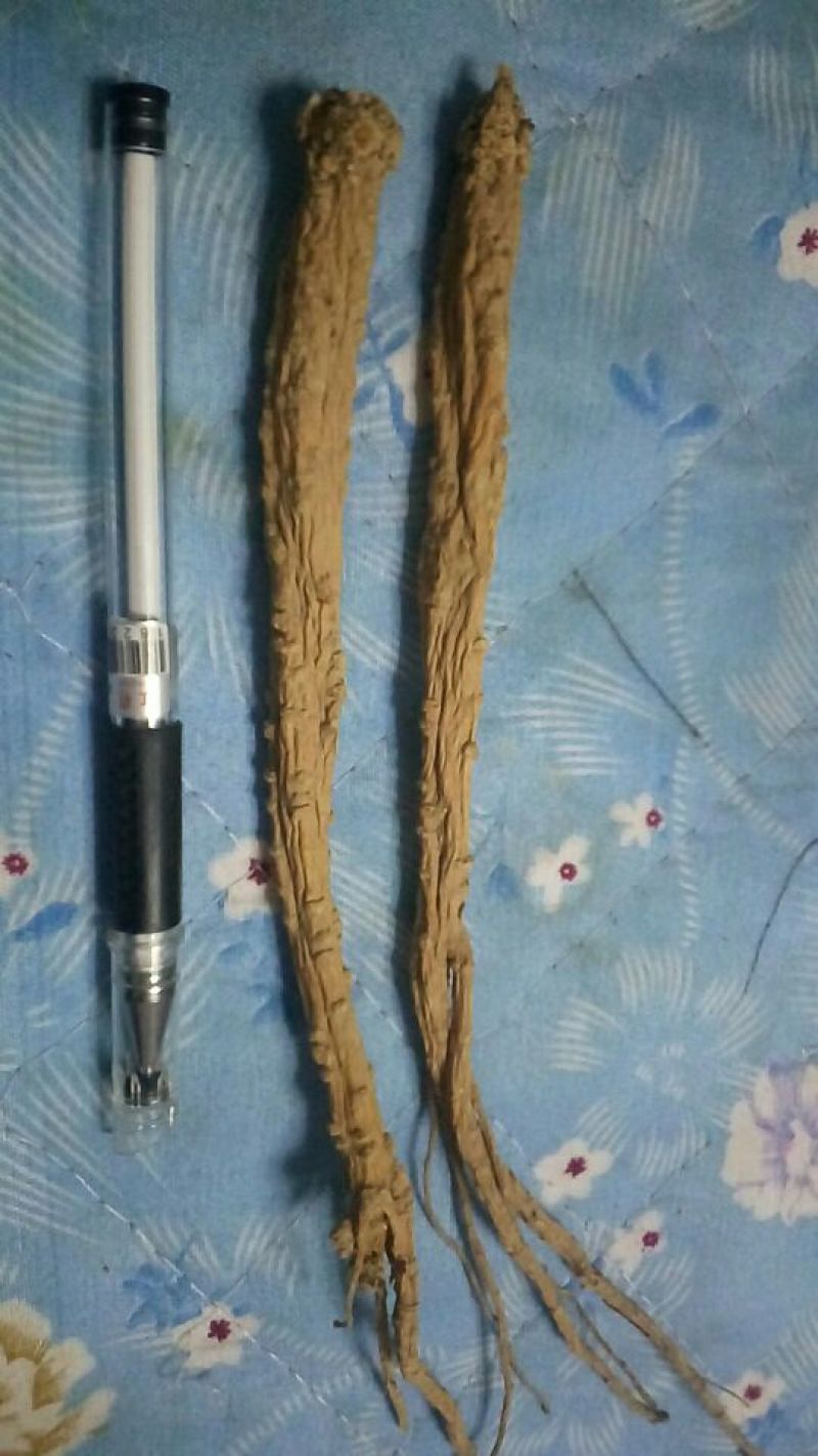 白条党参干货大条无硫化