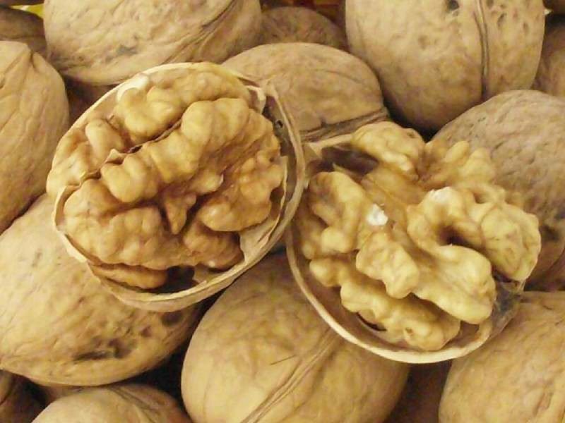 薄皮核桃去皮35mm以上干规格品种齐全高质量产地直