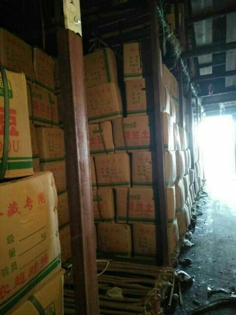 荷兰十五土豆4两以上通货