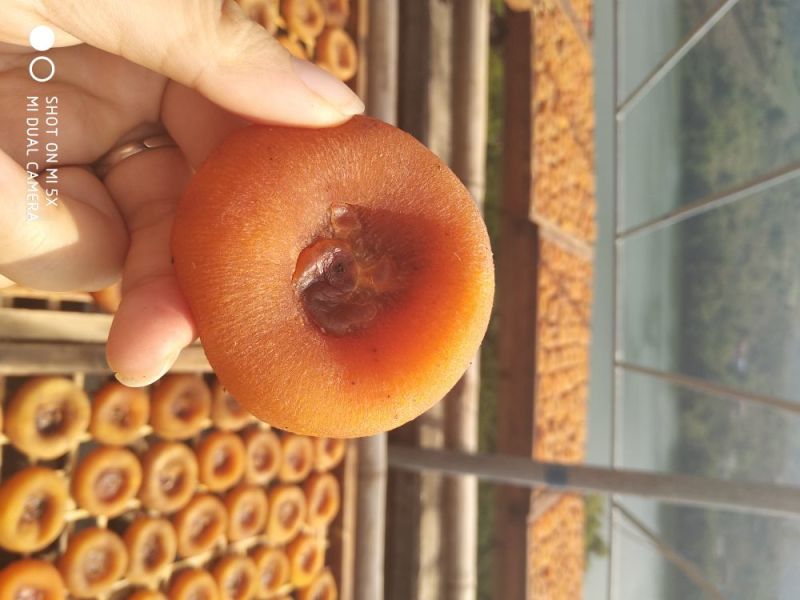 柿饼1~2两