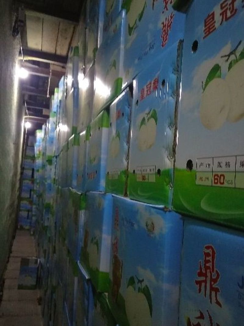 雪花梨300~350g纸箱