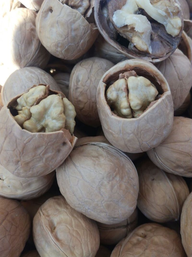 薄皮核桃30mm以上去皮干