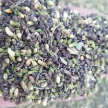 槐米花蕾统颜色不是太好