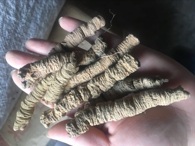 巴戟天特级