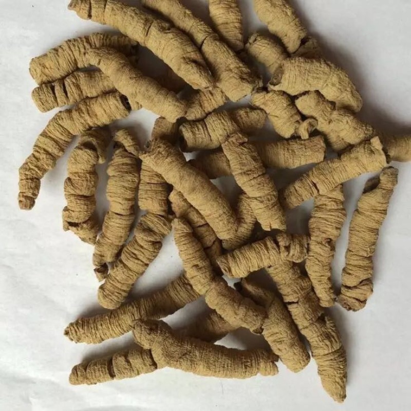 巴戟天特级