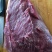 牛肉干黄牛肉鲜肉