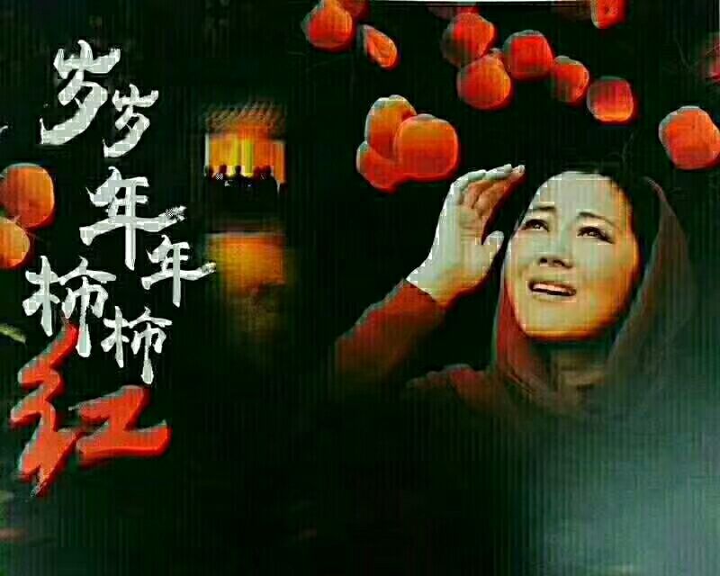 柿饼2~2.5两