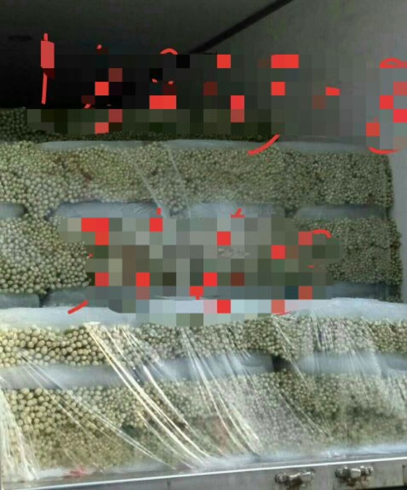 法国皇后芹菜高度70厘米左右，质量好，色泽好，量很大