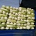 北京新三号白菜4~6斤净菜支持全国发货