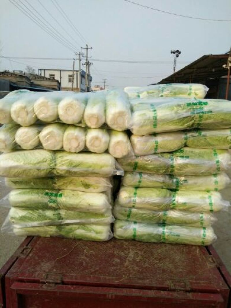 北京新三号白菜4~6斤净菜支持全国发货