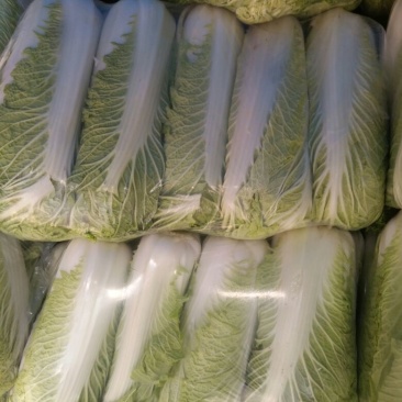 北京新三号白菜4~6斤净菜支持全国发货