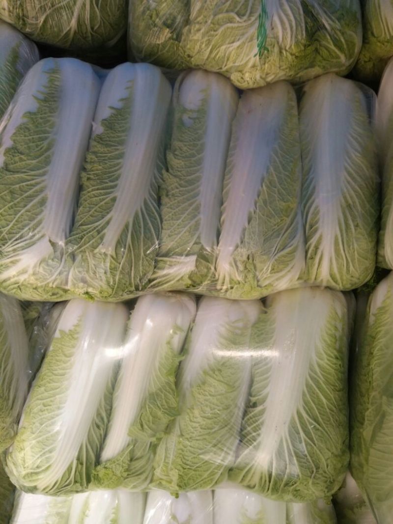 北京新三号白菜4~6斤净菜支持全国发货