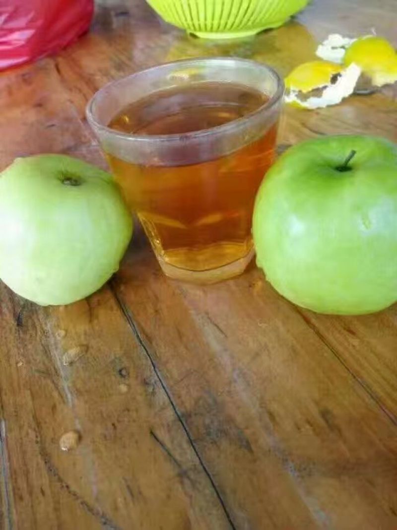 青枣苗苹果枣正品嫁接苗