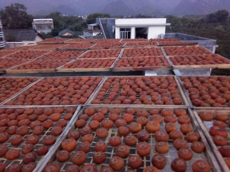 柿饼2~2.5两