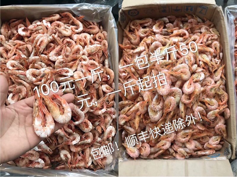 红虾食用活虾