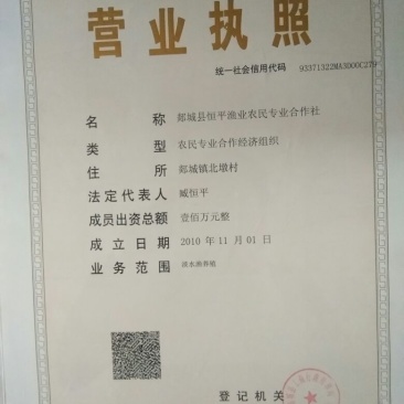 （五道黑，五彩斑，河鲈鱼）苗