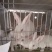 肉兔野兔养殖