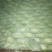 京丰1号甘蓝信誉第一，2-3斤3-6斤