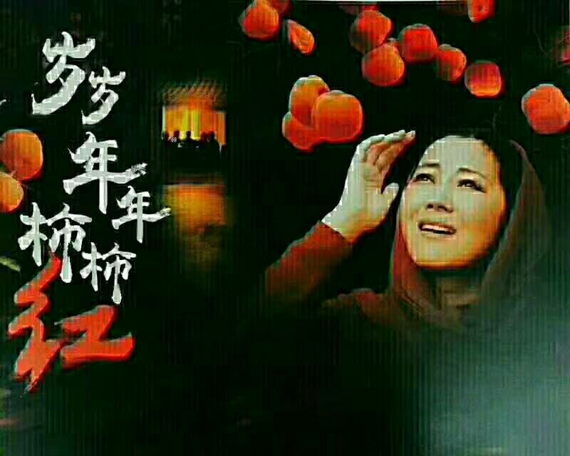柿饼1~2两
