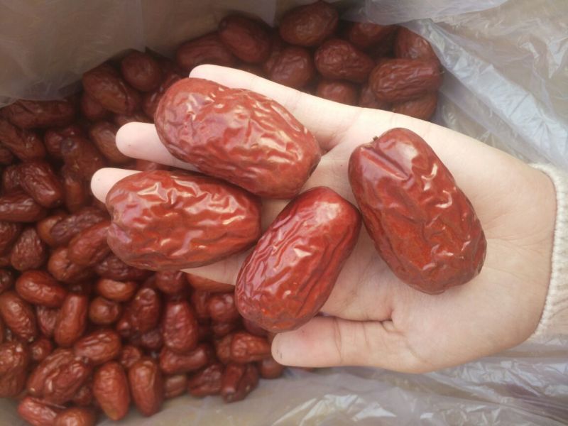 新疆红枣特级干枣