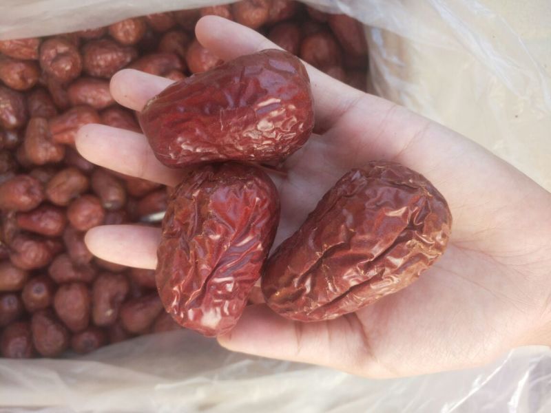 新疆红枣特级干枣