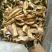 黄牛肝菌羊肚菌特级