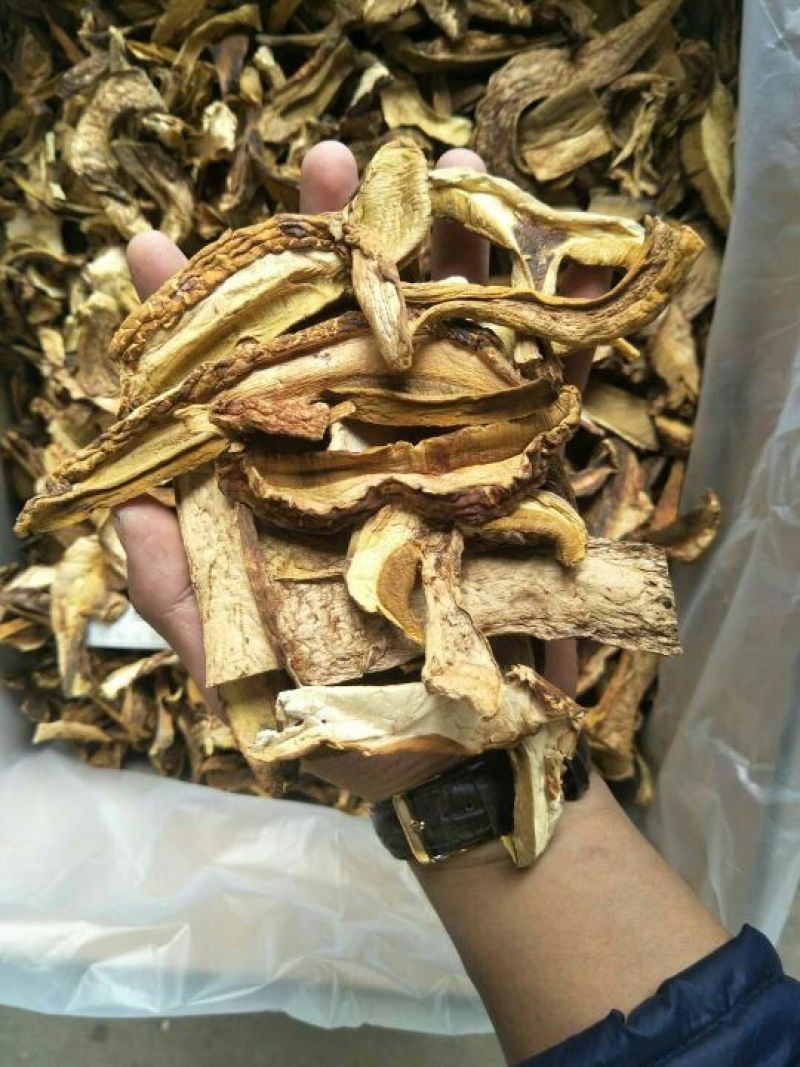 黄牛肝菌羊肚菌特级