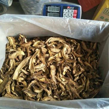 黄牛肝菌羊肚菌特级