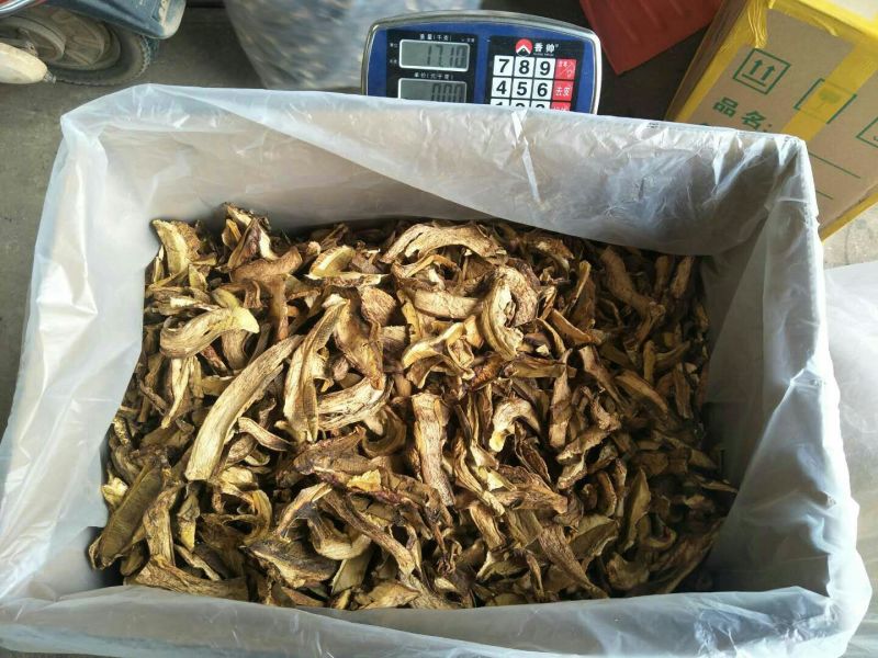黄牛肝菌羊肚菌特级